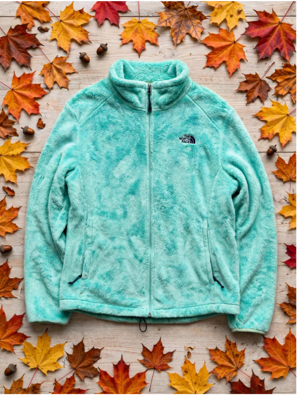 Women's The North Face Osito Fleece Jacket Mint Green Size XL